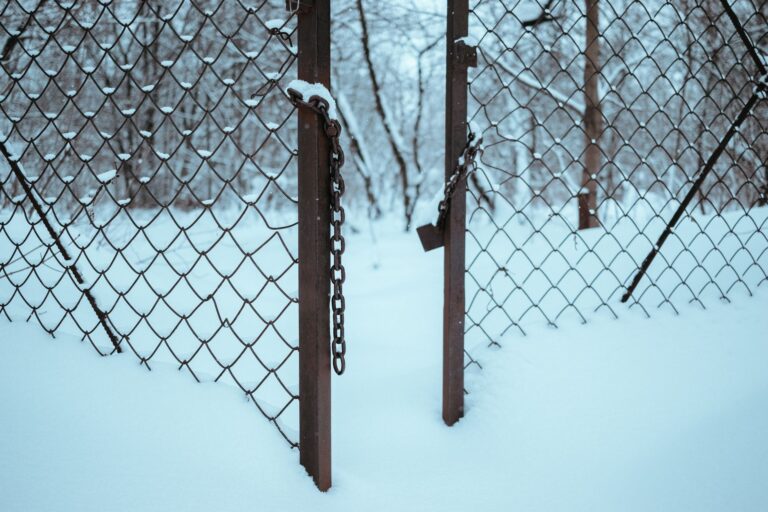 Close-up of a chain-link fence amidst a snowy forest landscape, evoking winter solitude.