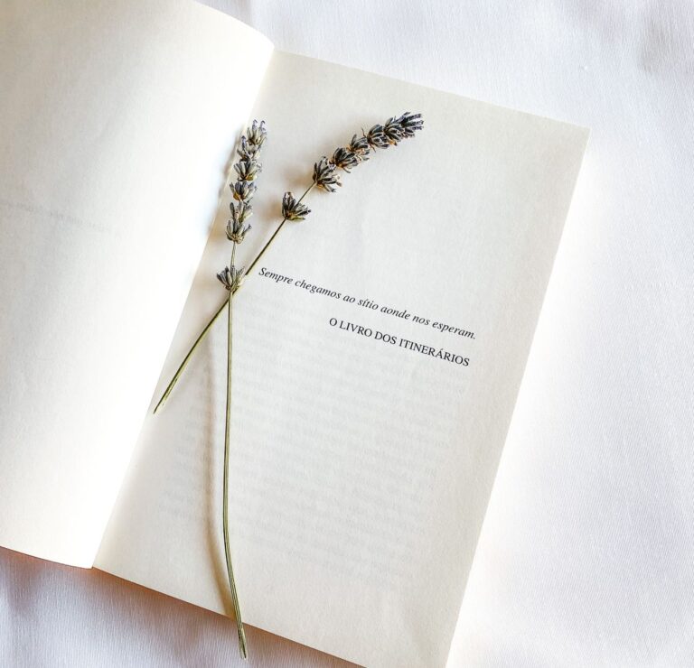 An open book with dried lavender sprigs on a white surface, minimal and calming.