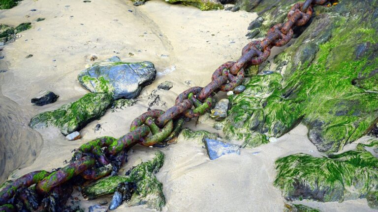 A rusty iron chain lies across moss-covered rocks on a sandy shore, showcasing natural textures.