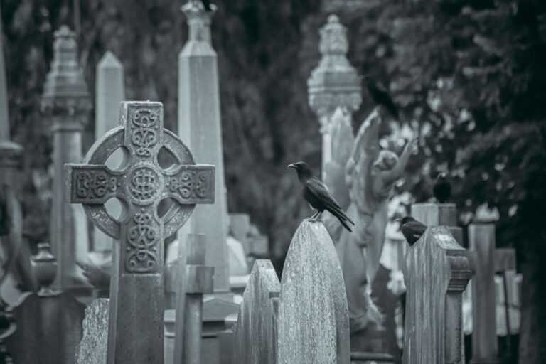 Monochrome image of a cemetery with a crow perched on a gravestone, evoking a spooky atmosphere.